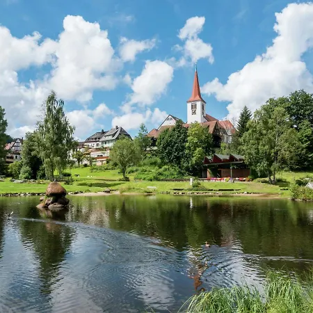 Cosy In Baden-wurttemberg By The Forest Apartment Schonach im Schwarzwald