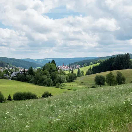 Cosy In Baden-wurttemberg By The Forest Apartment